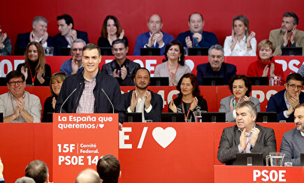 Pedro Sánchez en su intervención frente al Consejo Federal del PSOE. | EFE