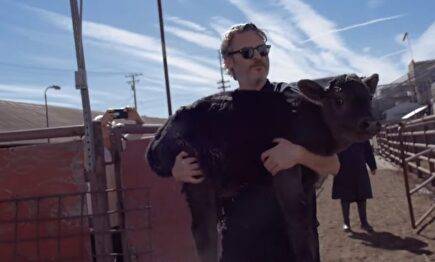 Joaquin Phoenix en el matadero. | Imagen TV