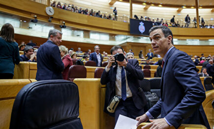 Pedro Sánchez en el Senado | Europa Press