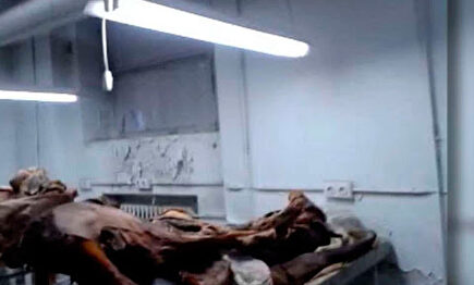 Cadáveres del sotano de la Facultad de Medicina de la Universidad Complutense de Madrid. | Cordon Press