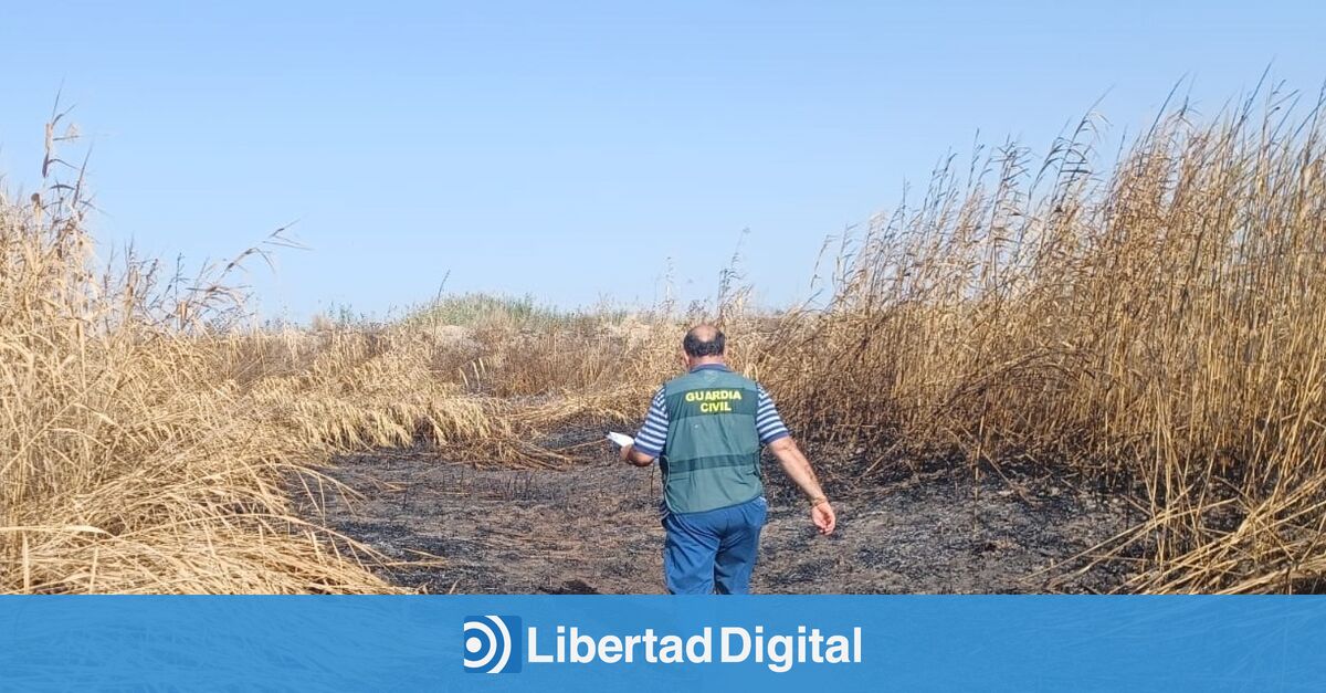 Ganaderos Y Agricultores De Ciudad Real Contratan Vigilantes Privados