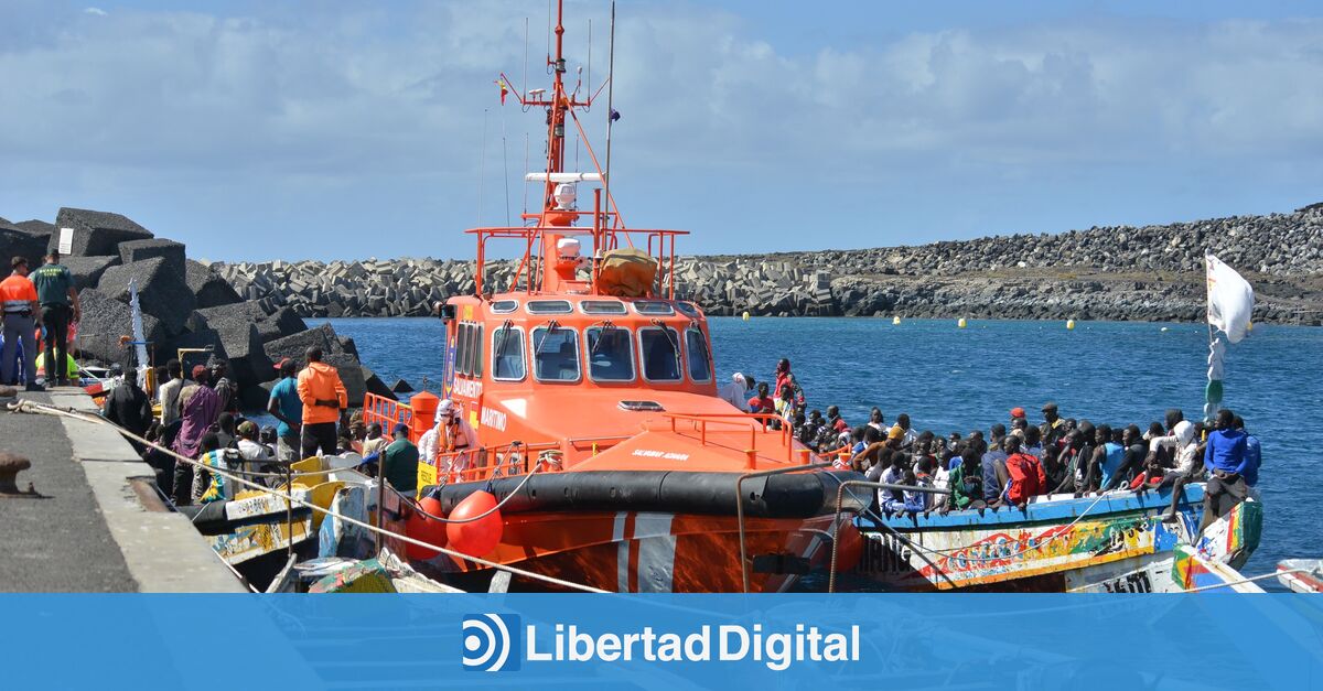 La llegada de inmigrantes no cesa más de 1 600 han llegado a Canarias