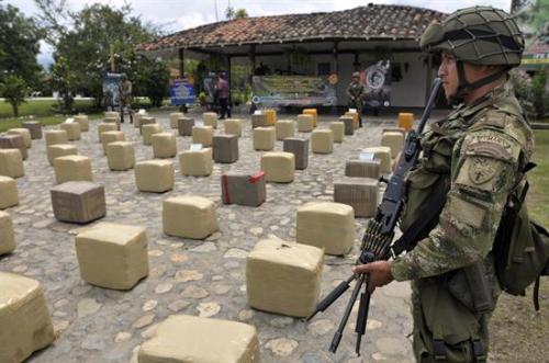 Toneladas de marihuana de las FARC