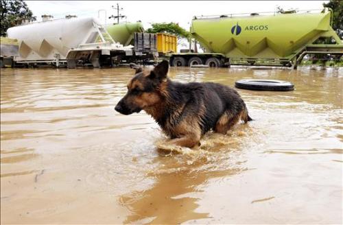 Inundaciones en el sector industrial de Yumbo 