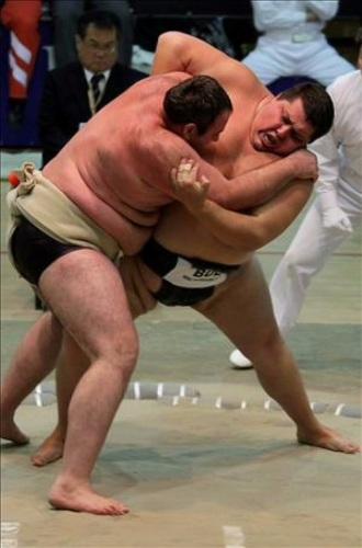 Sumo polaco