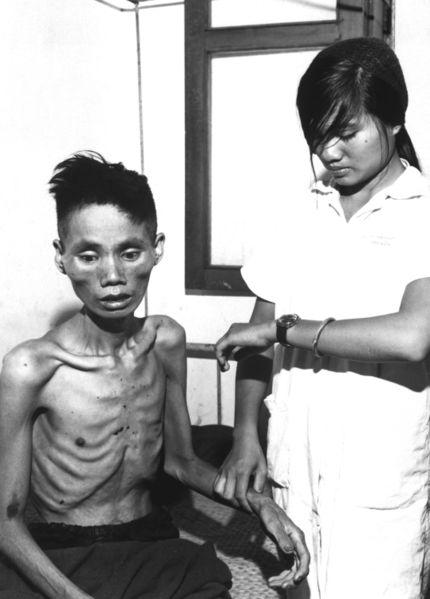 El Vietcong (1960-1973)
