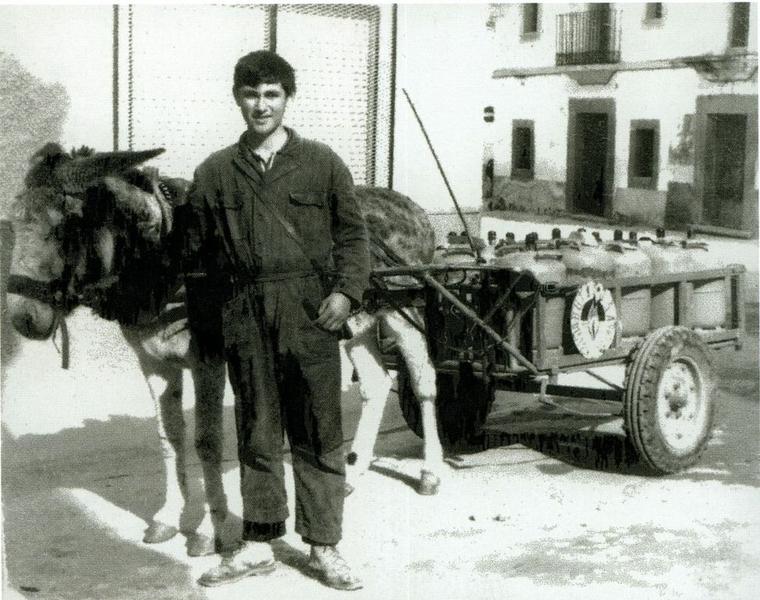 Tradición y modernidad