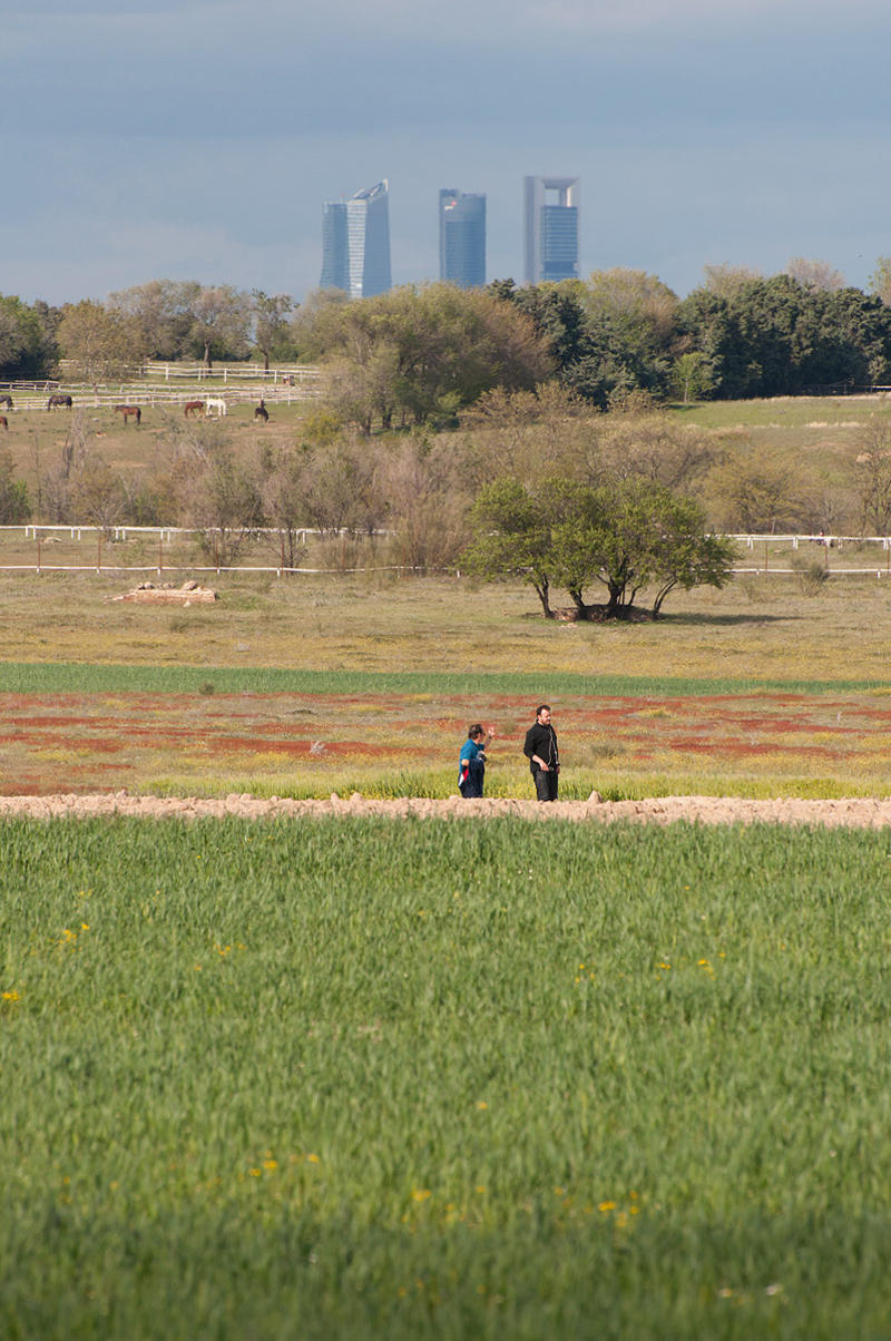 Las torres de la Castellana