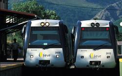 Dos trenes pertenecientes a los Ferrocarriles de Va Estrecha. | FEVE