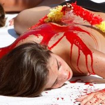 Humanización de los animales y deshumanización de las personas