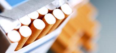 Espaa, tercer productor de tabaco de la UE I Cordon Press