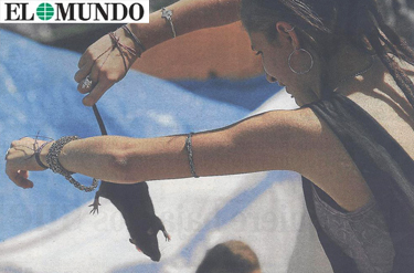 Circo con ratas en la Puerta del Sol en una imagen de 'El Mundo'. 