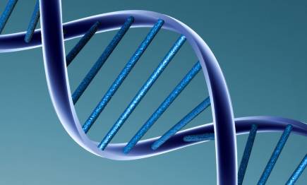 Montaje de la genética humana. | Archivo