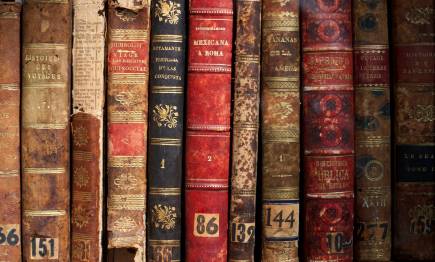 Flickr/CC/David Flores