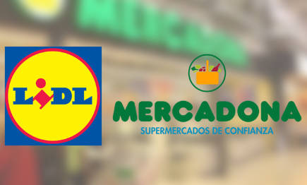 El INE busca datos en Mercadona y Lidl para elaborar el IPC