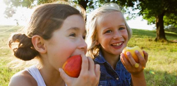 Comer fruta es un hábito saludable. | Flickr/CC/Stefan Schmidt