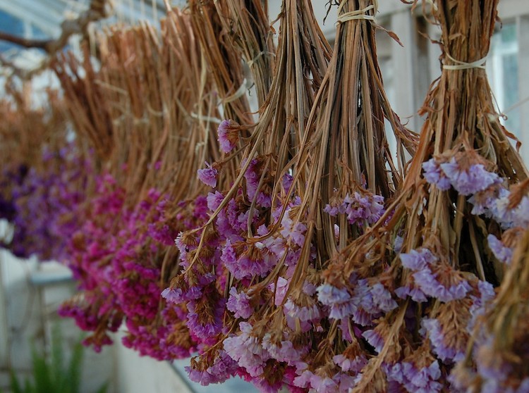 Flores invernales y coronas navideñas para un estilo rústico chic Ramas secas con flores