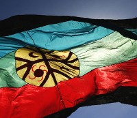 Bandera mapuche.