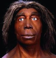 Posible aspecto de un neandertal.