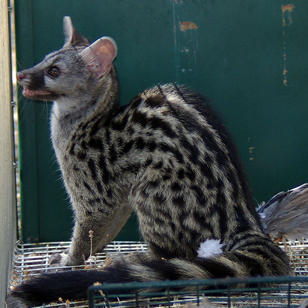 Es La Mañana de Fin de Semana ¿Quién es la esRadio