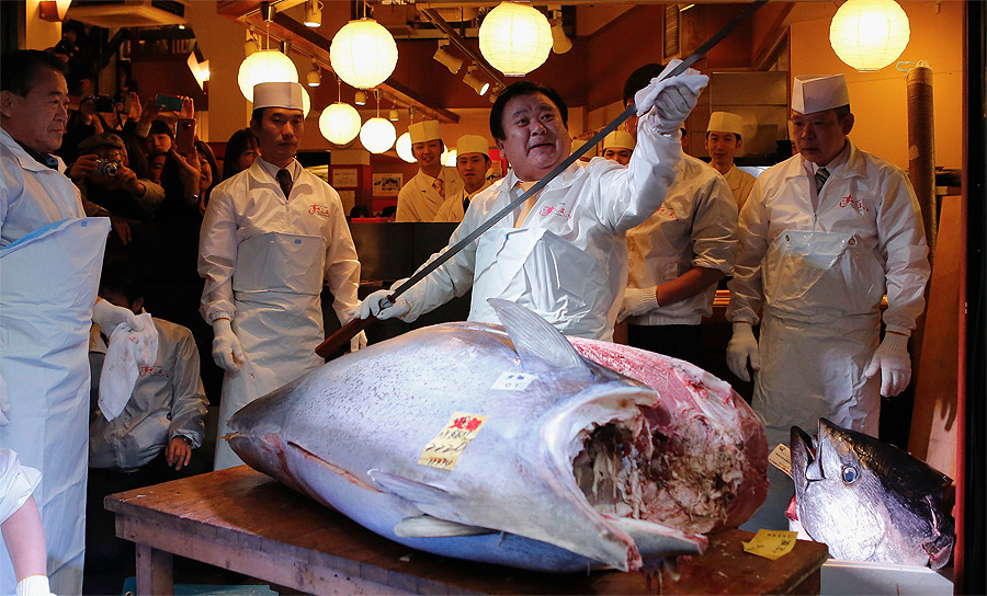 bluefin-tuna.jpg