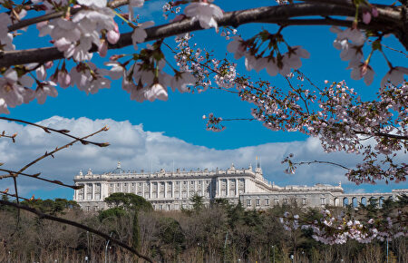 El Palacio Real de Madrid |  C.Jordá