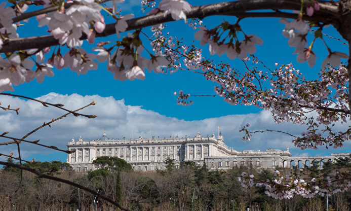 El Palacio Real de Madrid |  C.Jordá