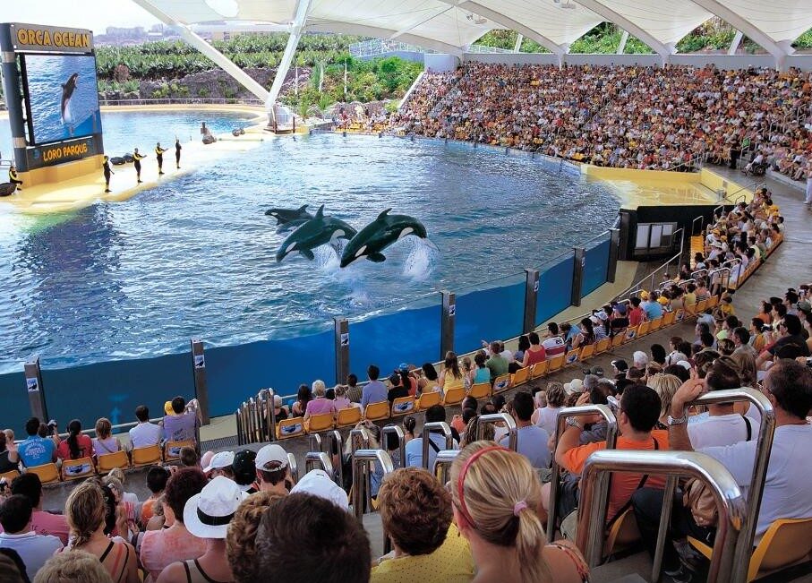 loroparque.jpg