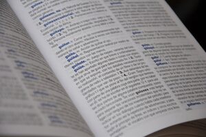 Diccionario | Flickr/CC/David Fernández
