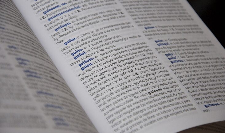 Diccionario | Flickr/CC/David Fernández