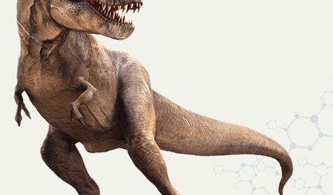 Todos Los Dinosaurios De 'Jurassic World' - Libertad Digital - Cultura