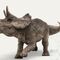 TriceratopsEl favorito de Alan Grant. Este herbívoro podía alcanzar los 9 metros de largo, los 3 de altura, y las 12 toneladas de peso. En la imagen, una cría