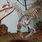 SuchomimusOtro que se estrena. El "imitador del cocodrilo" vivió a mediados del Cretácico en África. Alcanzaba los 12 metros de longitud y las 4 toneladas de peso. Los científicos sostienen que se alimentaba de peces y de pequeños dinosaurios