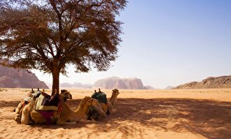 El desierto de Wadi Rum |  Archivo