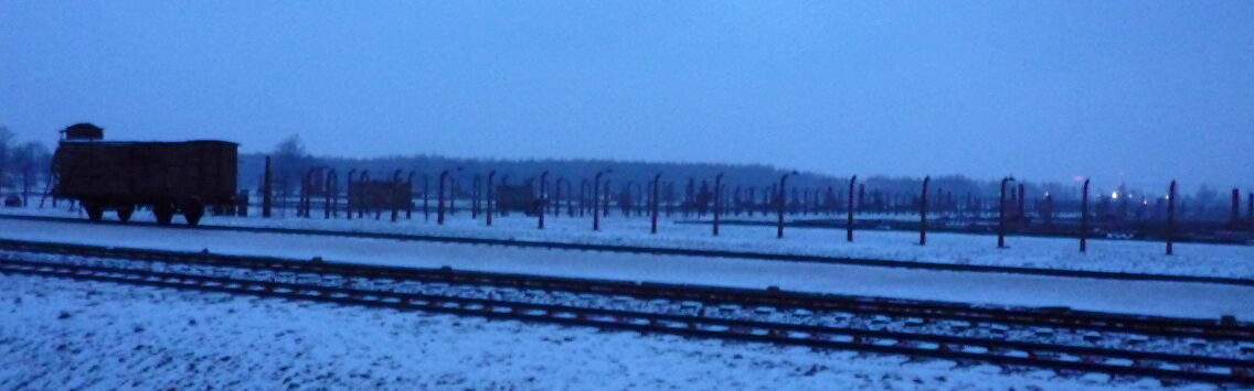 Birkenau I Mario Noya