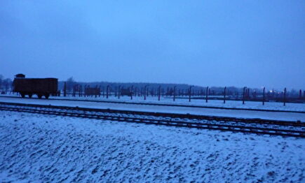 Birkenau I Mario Noya