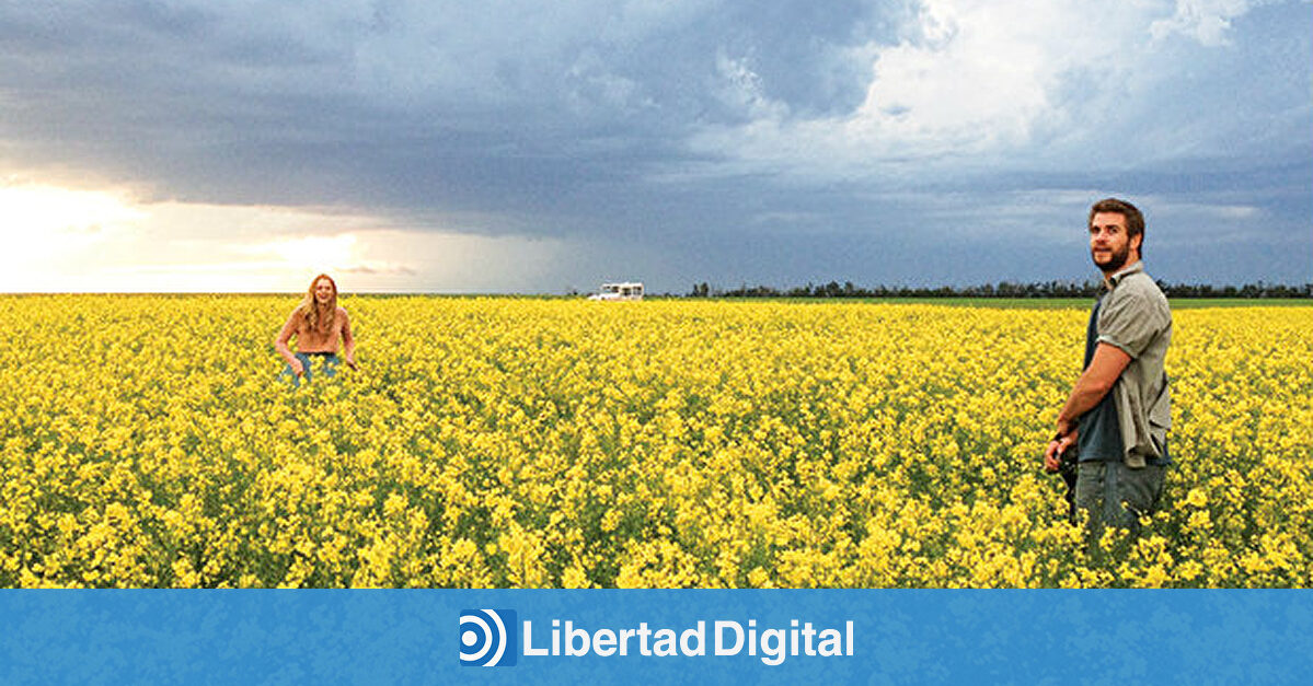 Crítica 'Cut Bank', con Liam Hemsworth y John Malkovich Juan Manuel