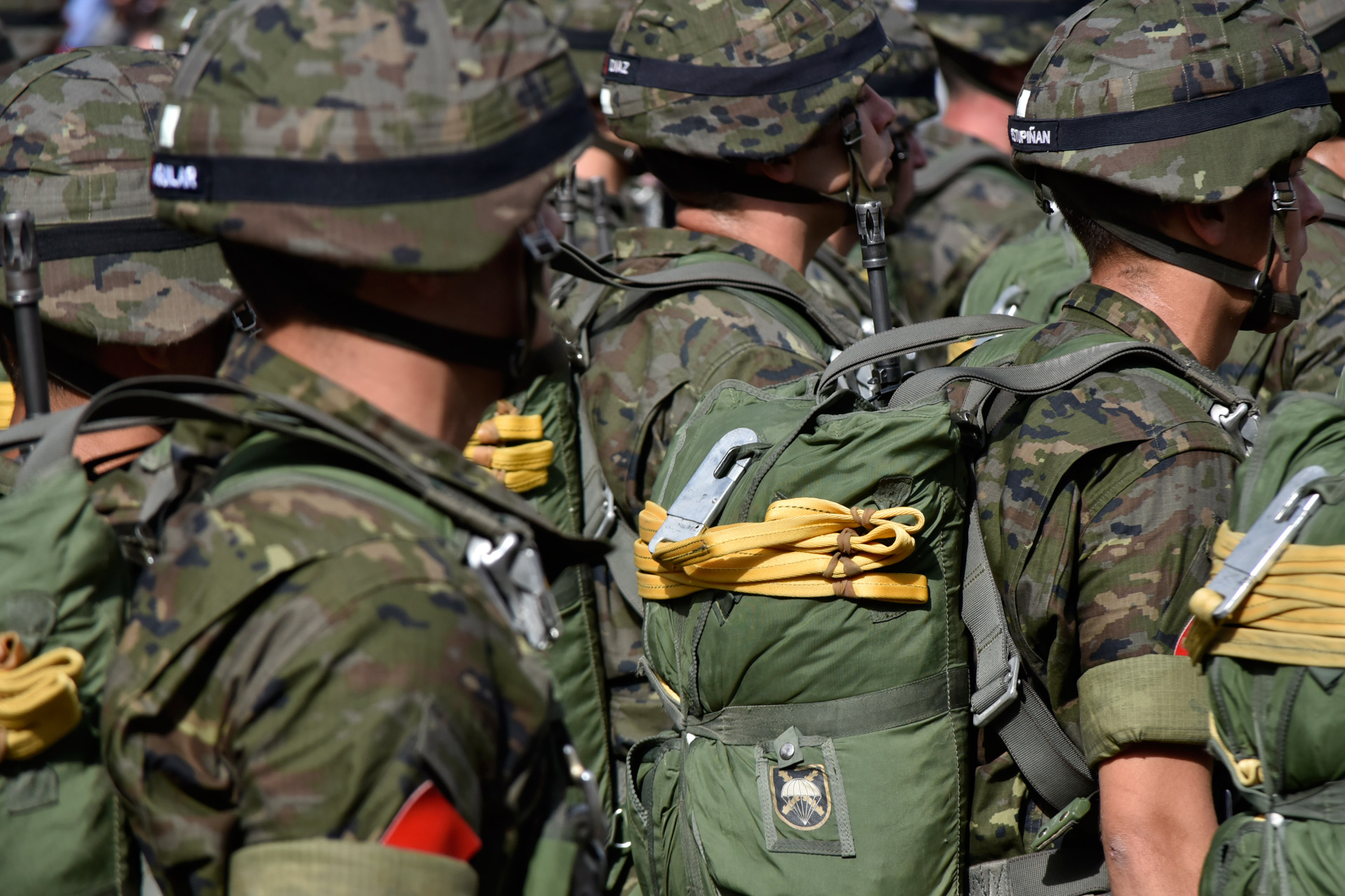 Desfile de las Fuerzas Armadas del día de la Fiesta Nacional 2015