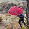 Una mujer se protege de la nevada que ha caído en Segovia capital y las cercanías del Sistema Central durante este domingo.