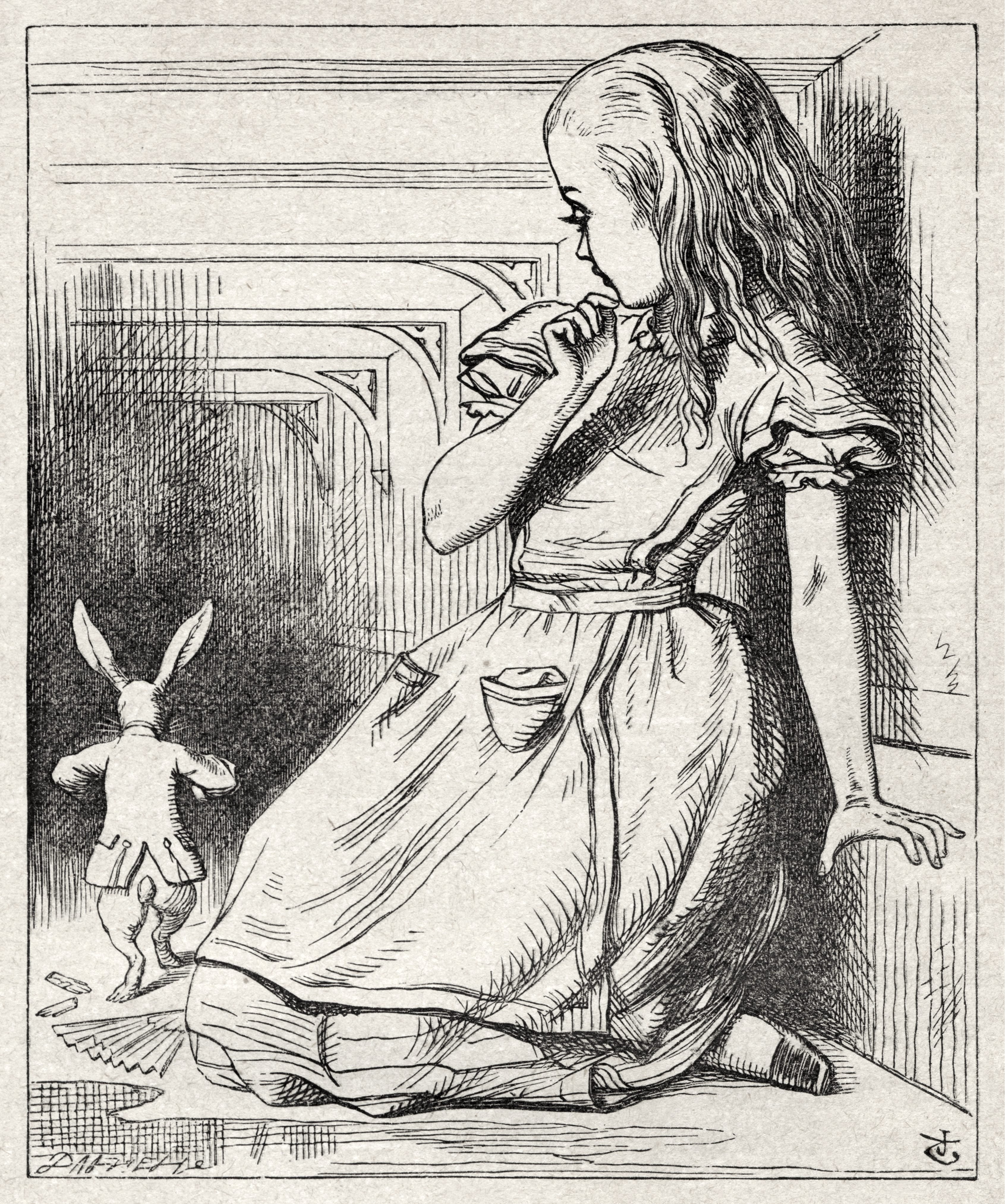 Алиса в стране чудес первая глава. Джон Тенниел иллюстрации Алиса в стране чудес. Джон Тенниел Алиса в стране чудес. Иллюстрации Джона Тенниела к Алисе в стране чудес. Алиса в Зазеркалье Льюис Кэрролл Джона Тенниела.