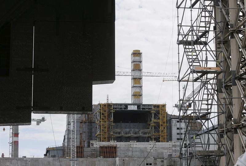 Gusanos de Chernóbil han resistido la radiación sin daños en el genoma