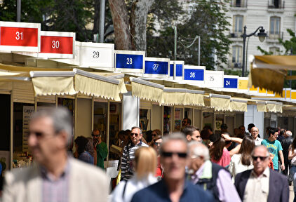 Vista general de la Feria del Libro 2016. | David Alonso