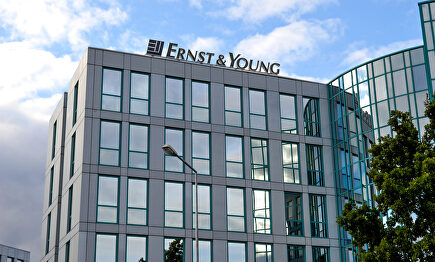 Ernst & Young |  Flickr/ Euro Slice
