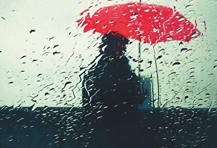 Detalle de la portada de 'Patria', de Fernando Aramburu |  Detalle de la portada