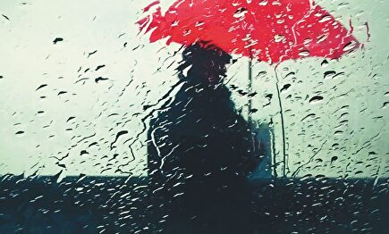 Detalle de la portada de 'Patria', de Fernando Aramburu |  Detalle de la portada