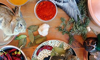 Recetuits: Hoteles con buenos restaurantes en España	