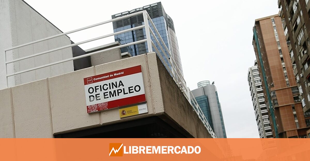 www.libremercado.com