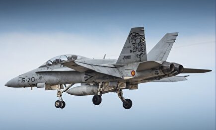 Caza F18 Hornet del Ejército del Aire. |  Flickr Ejército del Aire