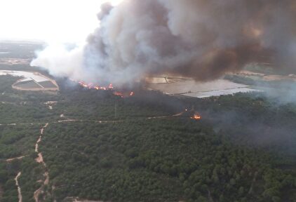Imagen de archivo de un incendio en Moguer (Huelva) | @Plan_INFOCA