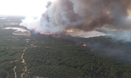 Imagen de archivo de un incendio en Moguer (Huelva) | @Plan_INFOCA